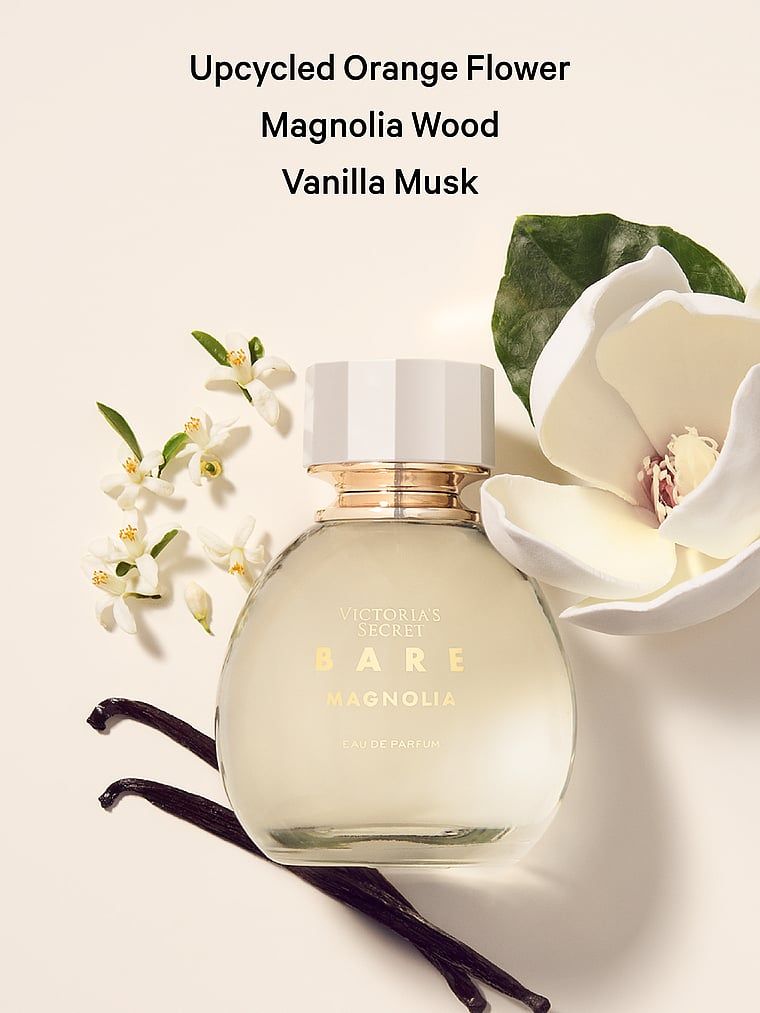 Bare Magnolia